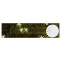  Eclats scintillants x-ledr-2x3 