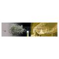  Stalactite LED Blc&flash-4,5m 
