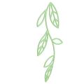  D�cor VEGE1 
