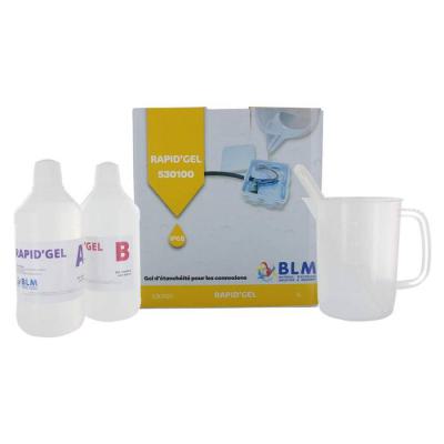  Gel Bicomposant RAPID'GEL 1L 