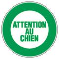  DISQUE SIG ATTENTION CHIE D300 