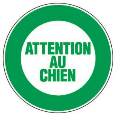  DISQUE SIG ATTENTION CHIE D300 