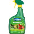  PUCERONS INSECTICIDES PAE800ML 