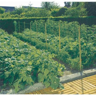  TRELLINET - FILET A� RAMER 2X5 