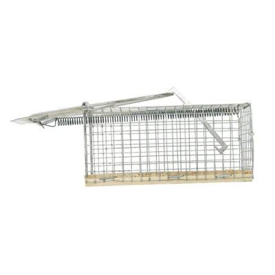  NASSE A SOURIS S/BOIS 12CM 