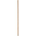  MANCHE BALAI CANTON.BD 165 CM 