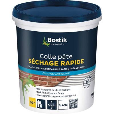  COLLE CARRELAGE SECH RAPIDE 