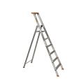  ESCABEAU ALU PRO 54 6MARCHES 
