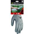  GANT DPVENICUT34 GRIS 7 