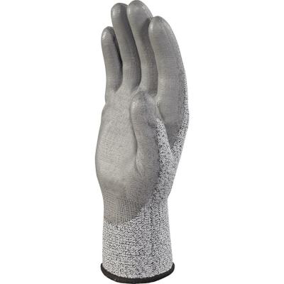  GANT DPVENICUT34 GRIS 7 