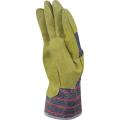  GANT DOCKER CROUTE TOILE BE 10 