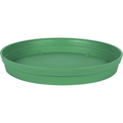 SOUCOUPE TOSCANE VERT D34.5 