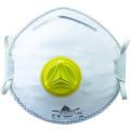  BTE 10 MASQUES FFP2 