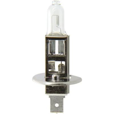  LAMPE XLTECH 1 H1 12V 55W 