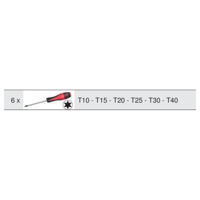  LOT DE 6 TOURNEVIS TORX 