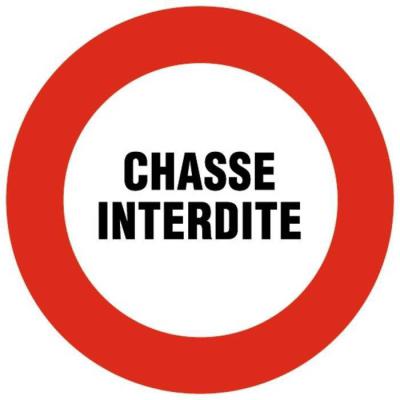  DISQUE SIG.CHASSE INTERDI D 21 