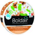  GEL DESTRU ODEUR KARITE 300G 
