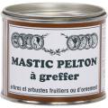 MASTIC A GREFFER 200G 