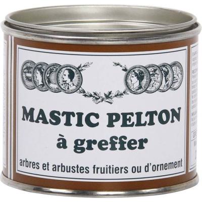  MASTIC A GREFFER 200G 