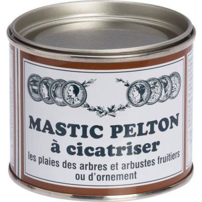  MASTIC A CICATRISER 195G 