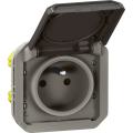  PLEXO 2P+T F/B ANTH COMPO 