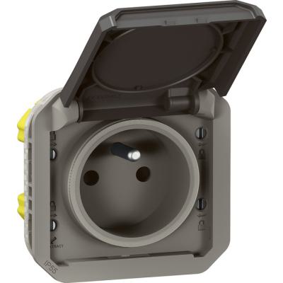  PLEXO 2P+T F/B ANTH COMPO 