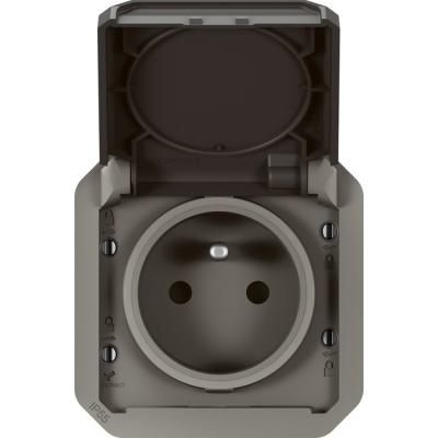  PLEXO 2P+T F/B ANTH COMPO 