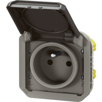  PLEXO 2P+T F/B ANTH COMPO 