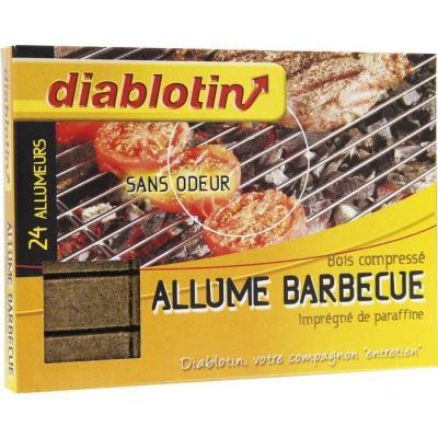  ALLUME BARBECUE CUBE X24 GRIL4 