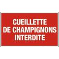  PLAQUE CUEILLETTE  CHAMPIGNONS 