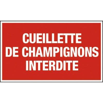  PLAQUE CUEILLETTE  CHAMPIGNONS 
