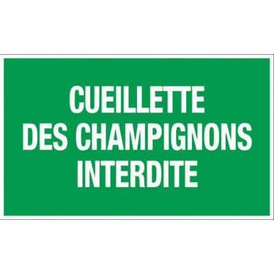  PLAQUE CUEILLETTE  CHAMPIGNONS 