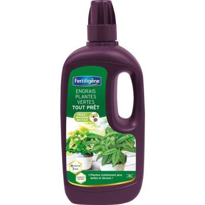  ENGRAIS PLANTES VERTES 1L 