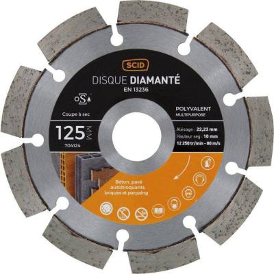  D DIAMANT POLY MG -125-10 SEGM 