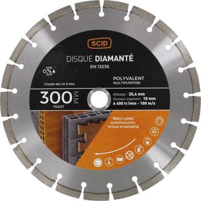  D DIAMANT POLY MG -300-10 SEGM 