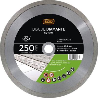  D DIAMANT CARR MG -250-10 CONT 