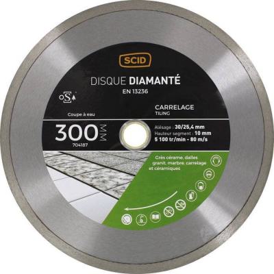  D DIAMANT CARR MG -300-10 CONT 
