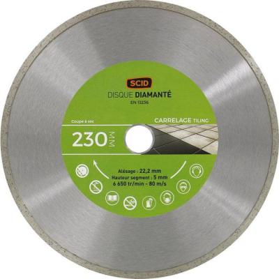  D DIAMANT CARR EG -230-05 CONT 