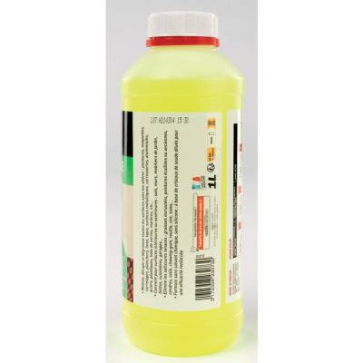  SPADO LESSIVE SS RINCAGE 1L 