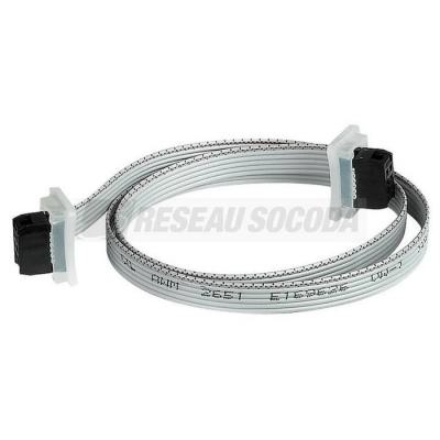  CABLE DE CON.INTER MOD.L=620MM 