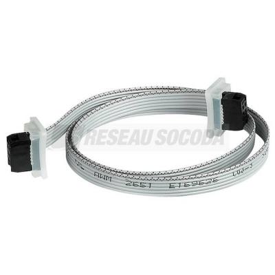  CABLE DE CON.INTER MOD.L=620MM 