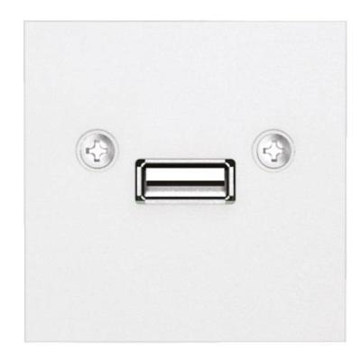  PLASTRON USB A BORNIER 