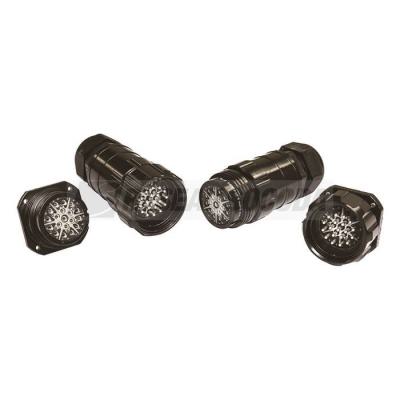 EMBASE 19 POLES - MALE 