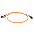  CORDON CAT8 S/FTP LSZH - 3M 
