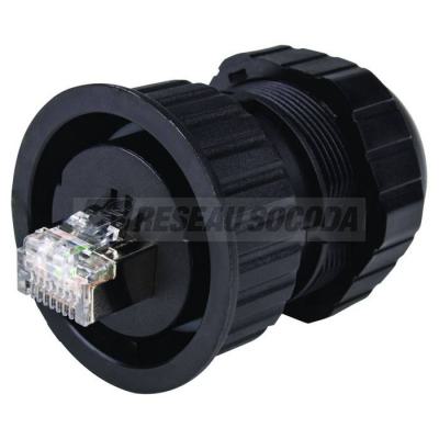  PLUG RJ45 CAT6A IP68 