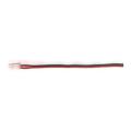  P.D. carte sec. bat FLUO 0,1m 