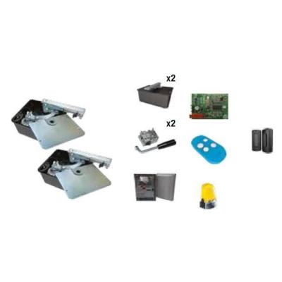  Kit BATTANTS enterr� FROG 24V 