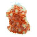  Boite BBC CAPRITHERM+ Capribag 