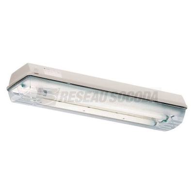  LLK98 LED 600 2/6-2K 