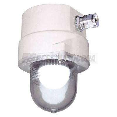  dKLK23LED incolore 